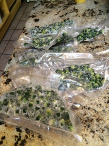 Brussel's sprouts ready for the freezer